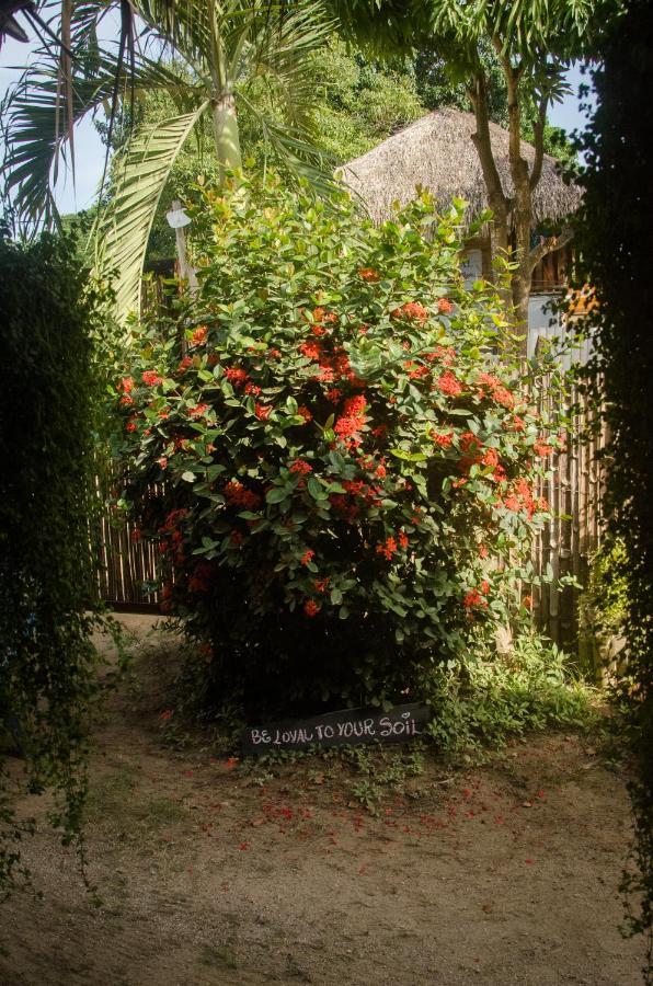 Hostal Corazon De Tagua 팔로미노 외부 사진